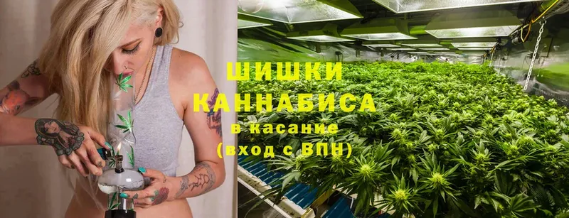 как найти   Заозёрный  Марихуана Bruce Banner 